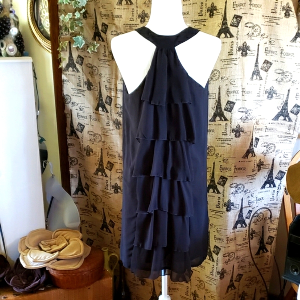 Papillon | Chiffon Mini Dress